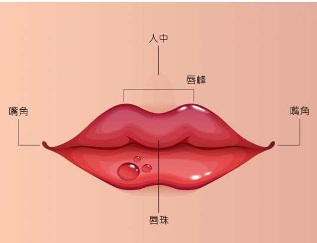 豐唇