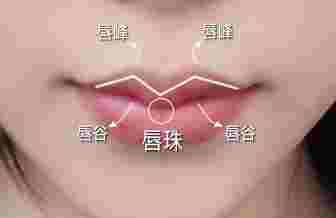 唇 珠