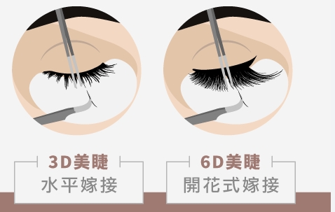 種睫毛可以維持多久